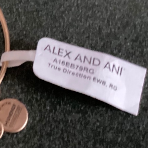 Alex and Ani Expandable Wire Bracelet True Direction New with tag - Picture 7 of 8